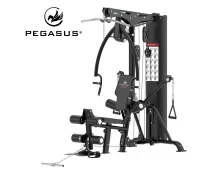 Pegasus® HG8 Πολυόργανο με βάρη (308878800)