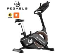 Pegasus B9 Ποδήλατο Γυμναστικής (341996602)