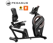 Pegasus B15 Καθιστό Ποδήλατο Γυμναστικής (341996632)