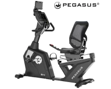 Pegasus R11 Καθιστό Ποδήλατο (338181122)
