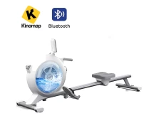 Viking Hybrid Rower Κωπηλατική (106080)