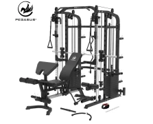 Pegasus® MF10 All‑in‑One Trainer με Πάγκο Πολυόργανο (308136010)