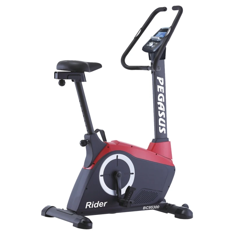 Pegasus ''Rider'' BC95300 Ποδήλατο Γυμναστικής (Π131)