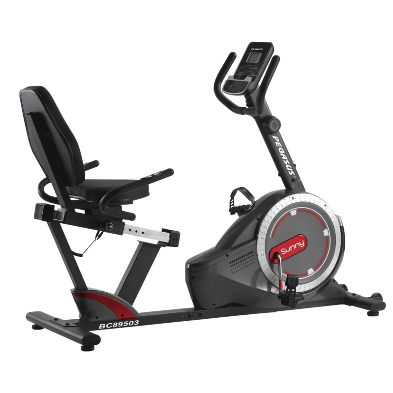 Pegasus® Sunny BC‑89503-RD Καθιστό Ποδήλατο (Π-104-RD)