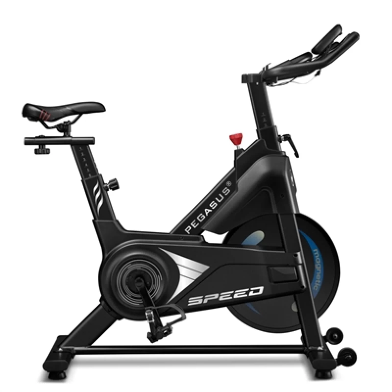 Pegasus ''Speed'' Spin Bike Ποδήλατο Γυμναστικής (Π113)
