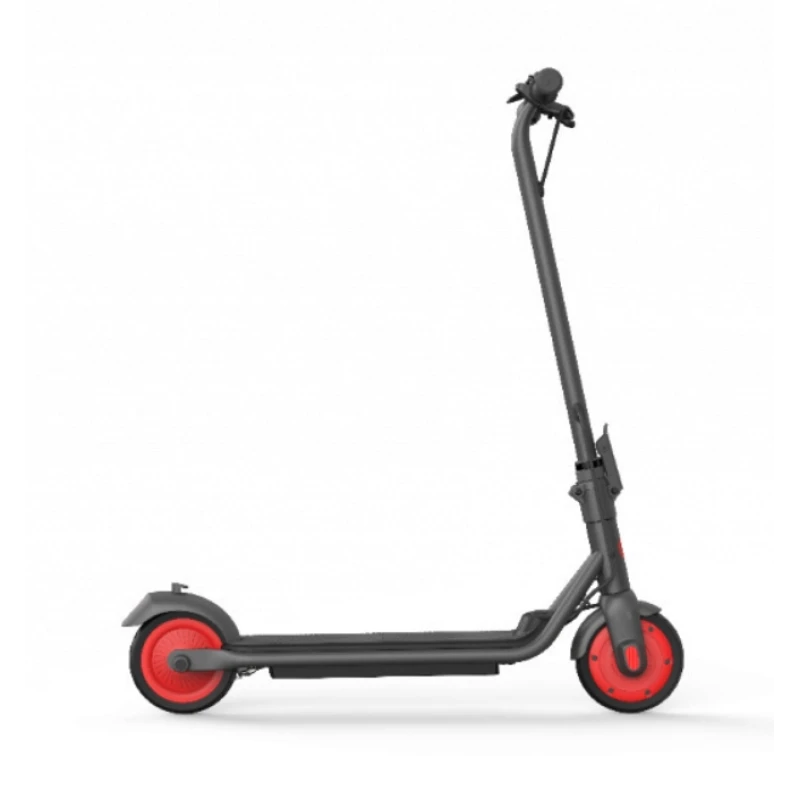 Segway Ninebot eKickScooter Zing C20 (AA.00.0011.54)