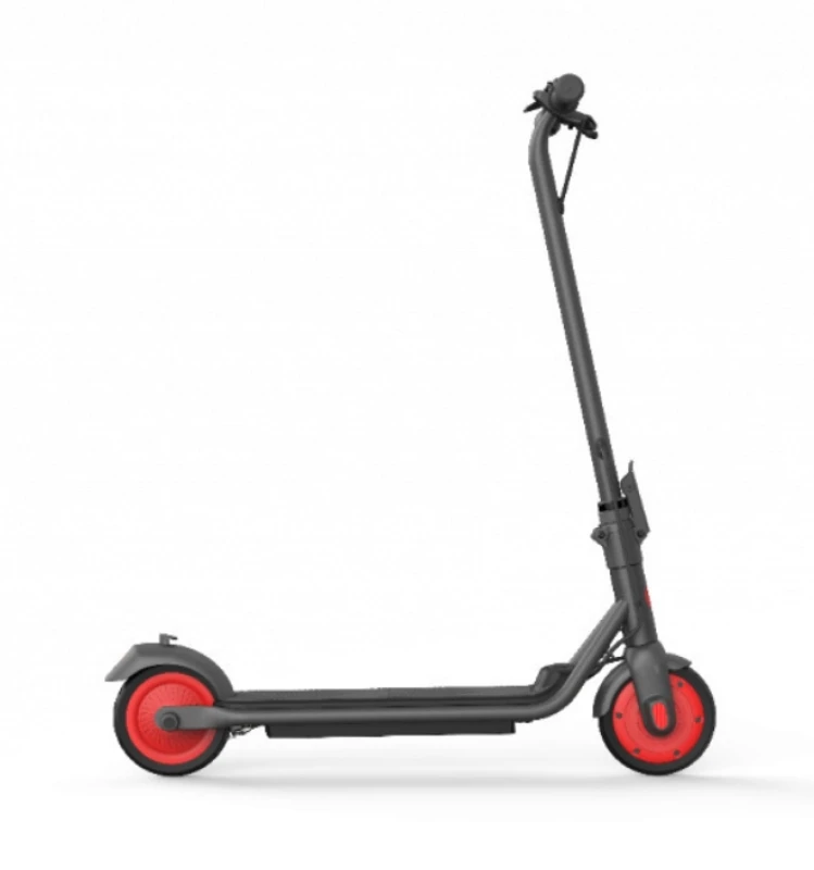 Segway Ninebot eKickScooter Zing C20 (AA.00.0011.54)