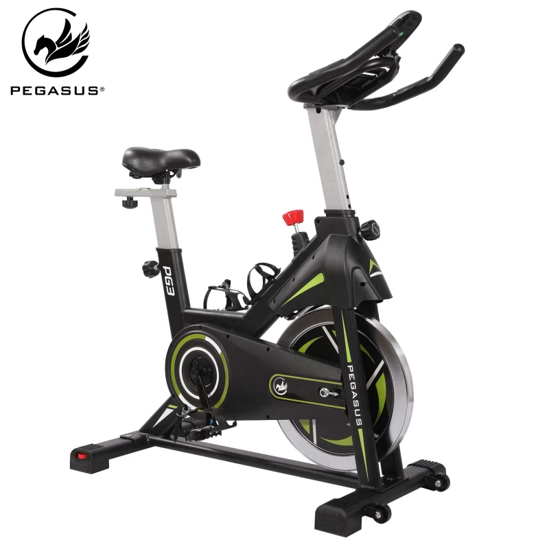 Pegasus® Spin Bike PG3 Ποδήλατο Γυμναστικής (391167870)