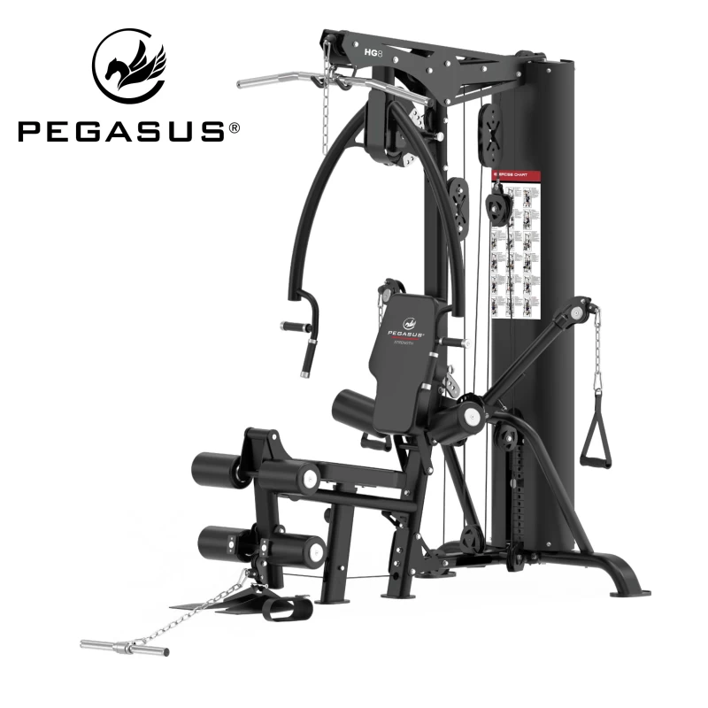 Pegasus® HG8 Πολυόργανο με βάρη (308878800)