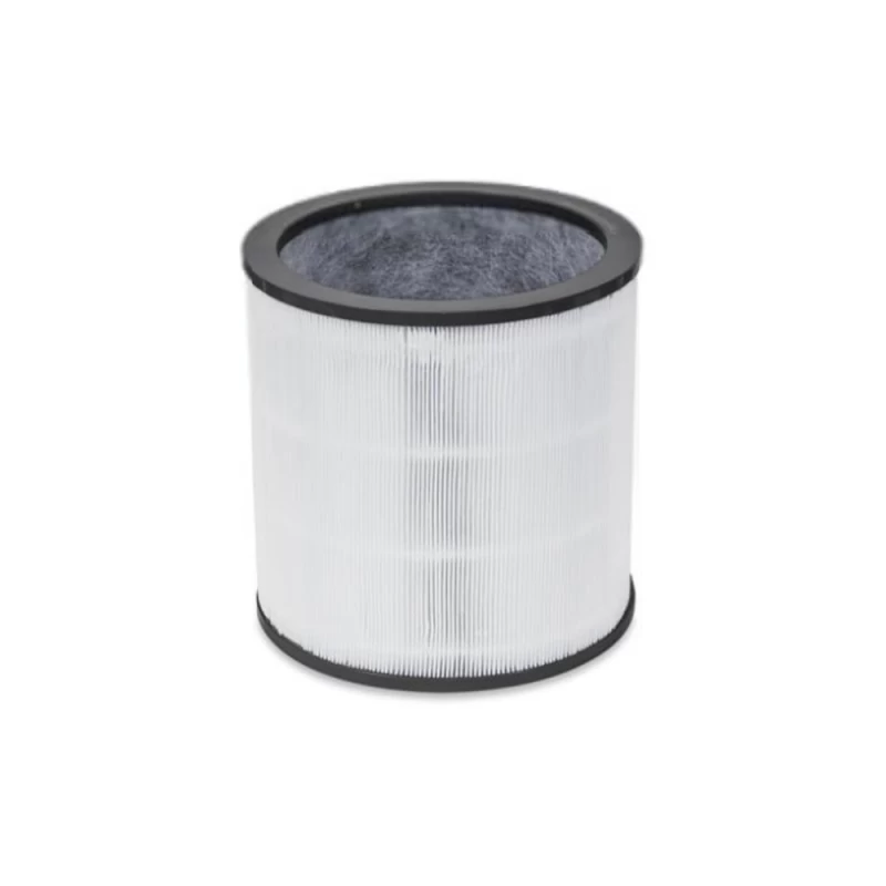 DYSON 972425-01 Evo Carbon Filter Retail for HP00/HP01/HP02/HP03/DP01/DP03 (87-0495)