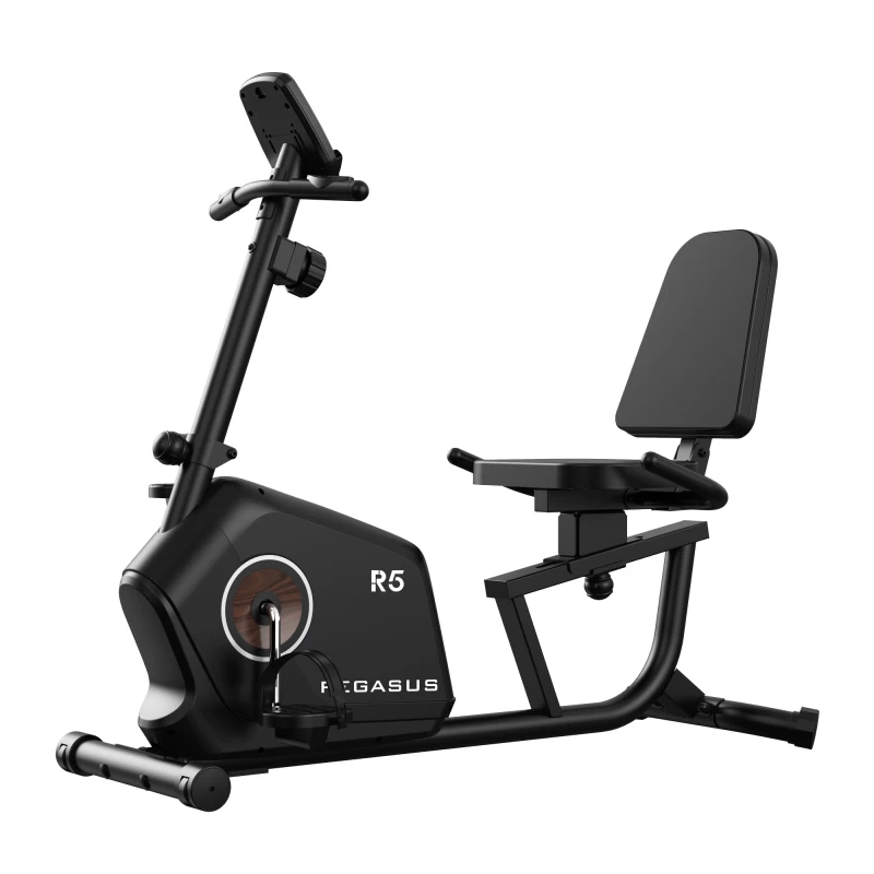 Pegasus R5 Καθιστό Ποδήλατο Γυμναστικής (341210185)