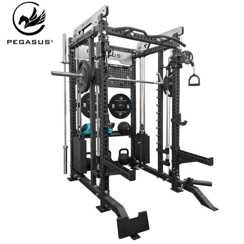 Pegasus® PG-2000 All-In-One Trainer Πολυόργανο (327200002)