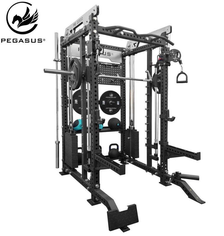 Pegasus® PG-2000 All-In-One Trainer Πολυόργανο (327200002)