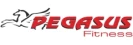 Pegasus